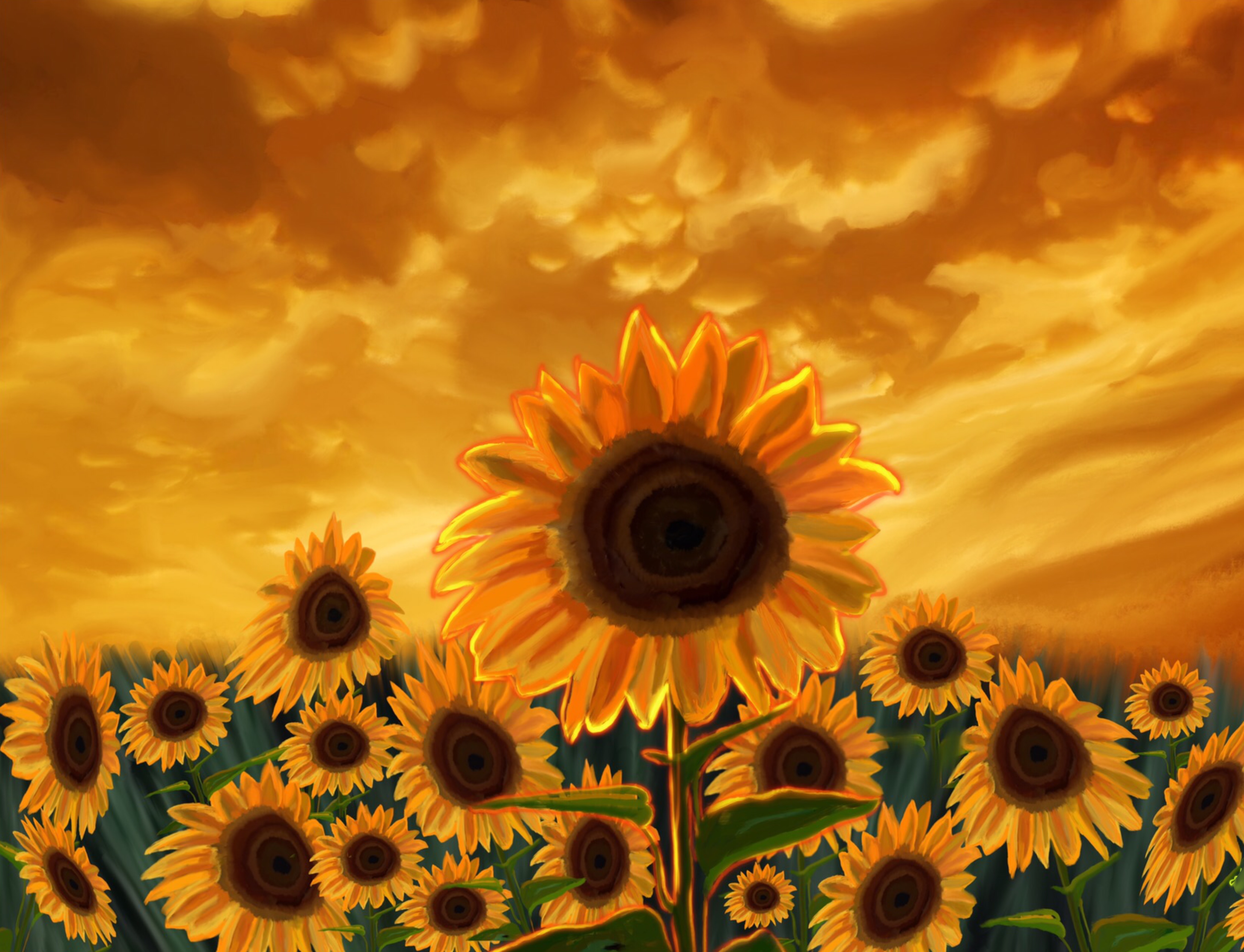 Image for Soft/Instrumental