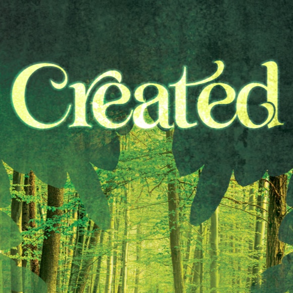 Image for 2025 Junior NBBC Created KJV