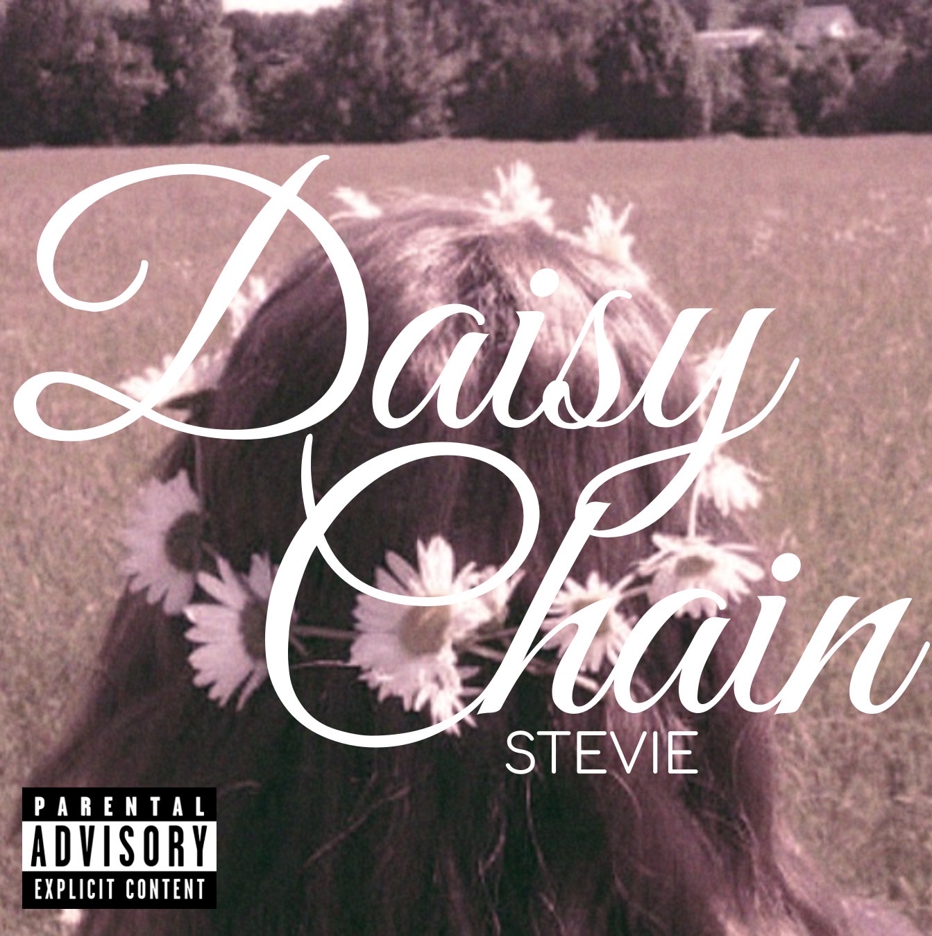 Daisy chain artwork