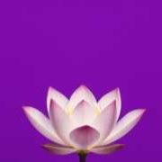 Voice picture for Untitled Persona