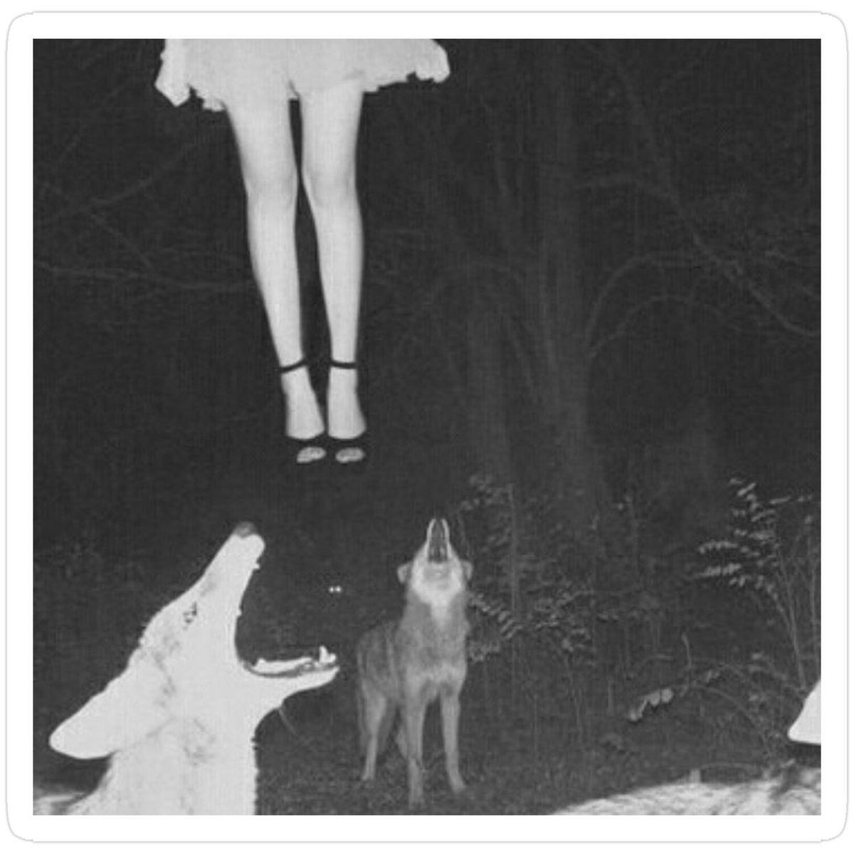 “If Anyone Is Here” artwork