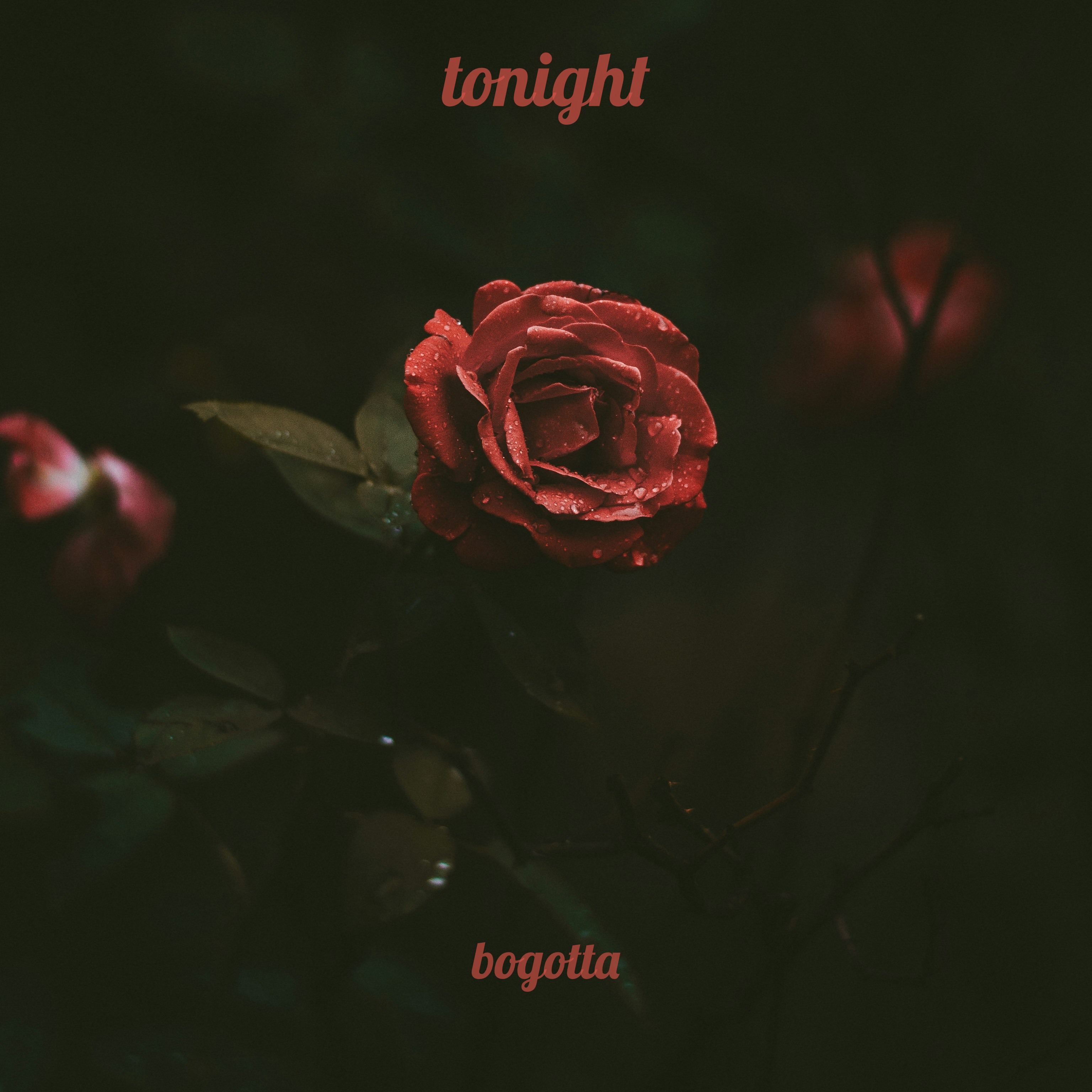 tonight artwork