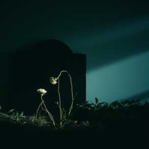 Image for Why Do We Scream When It Hurts