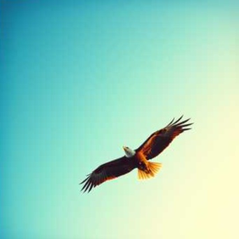 Persona image for Genghis