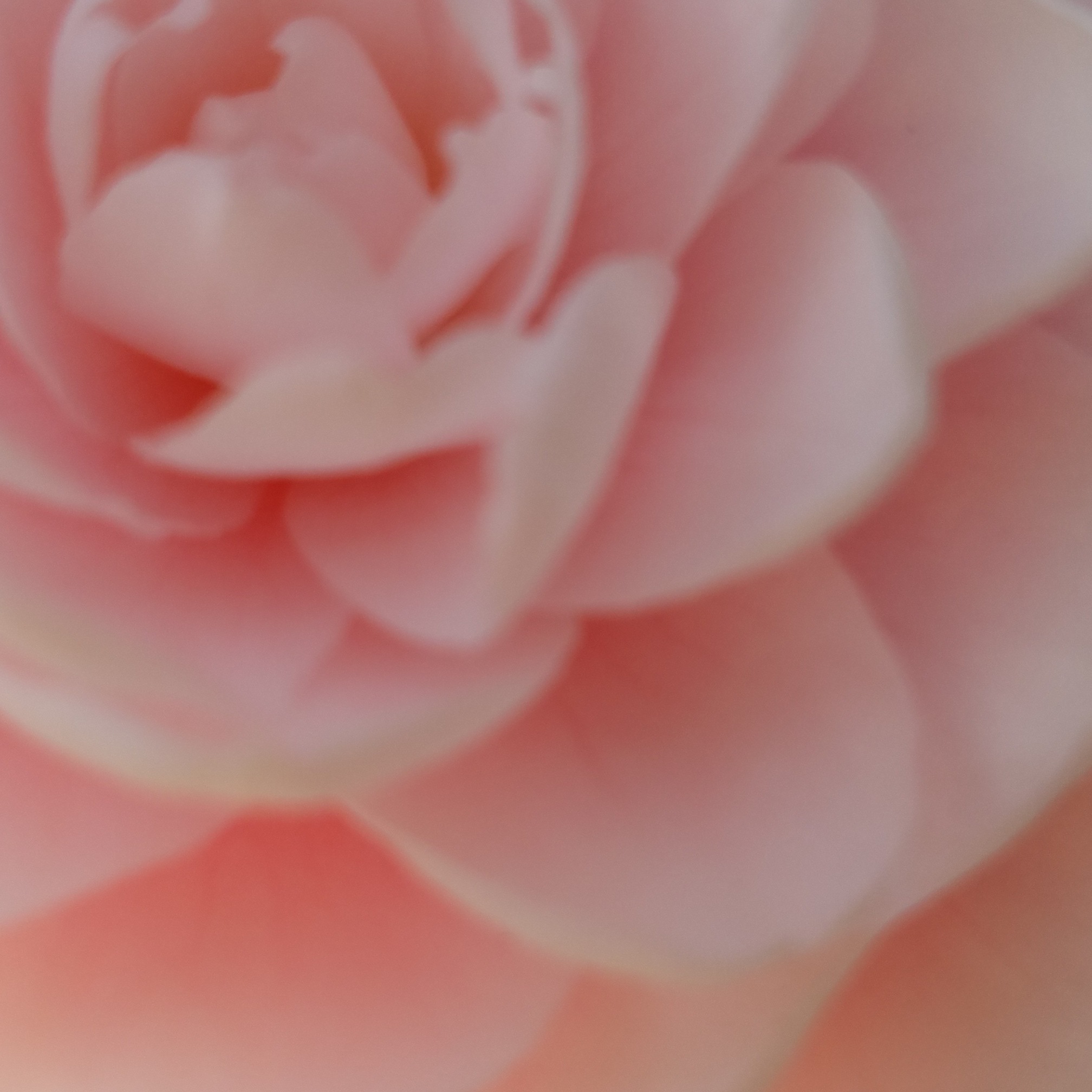 Image for あの時が分かれ道～時のしずくが空へ還る夜