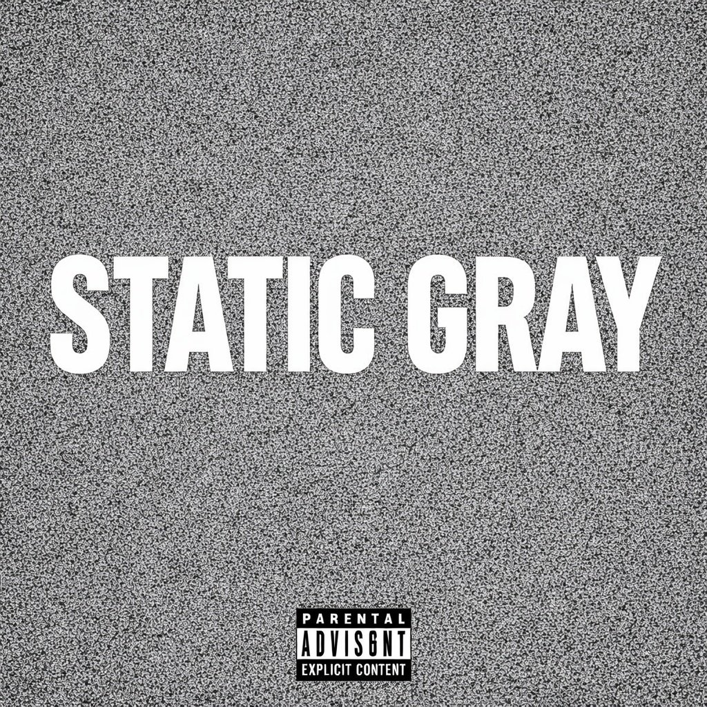 Image for Static Gray