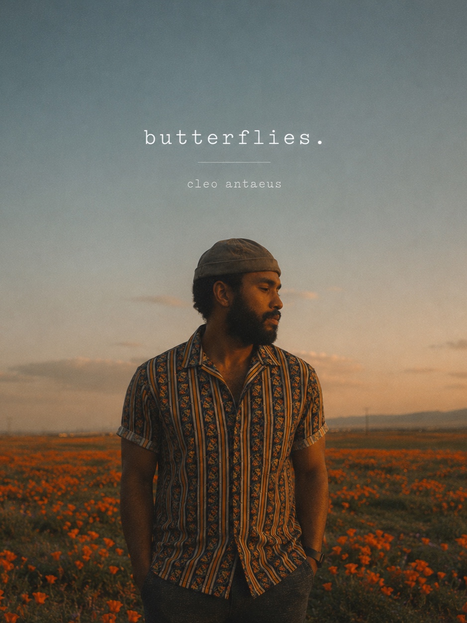 butterflies. artwork