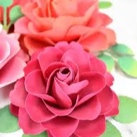 Image for Paper Flowers