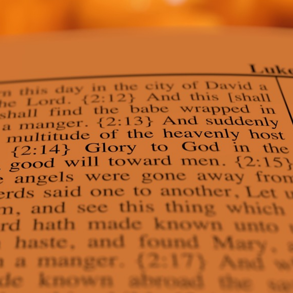 Profile picture for dcam