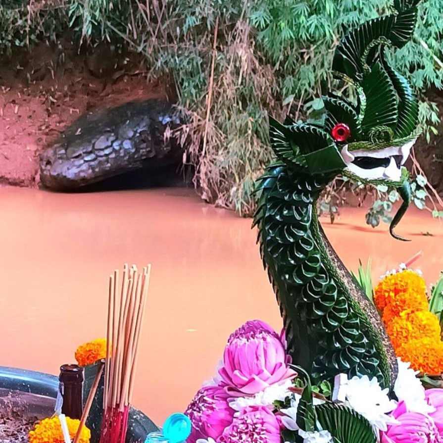 Image for เพลงชุด ถวาย 12 บทเพลง