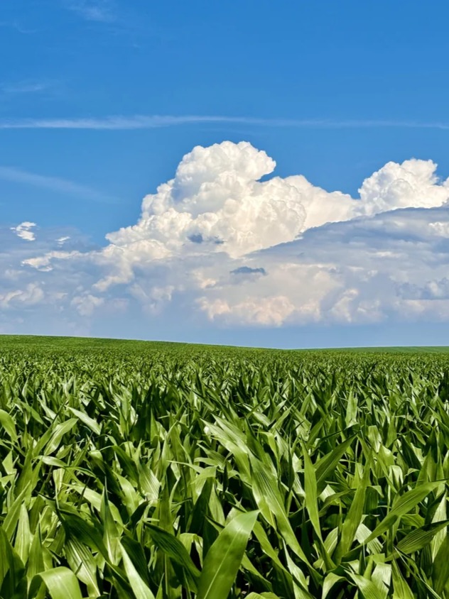 Iowa artwork
