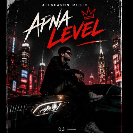 APNA LEVEL artwork