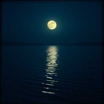 Image for Ethereal 01