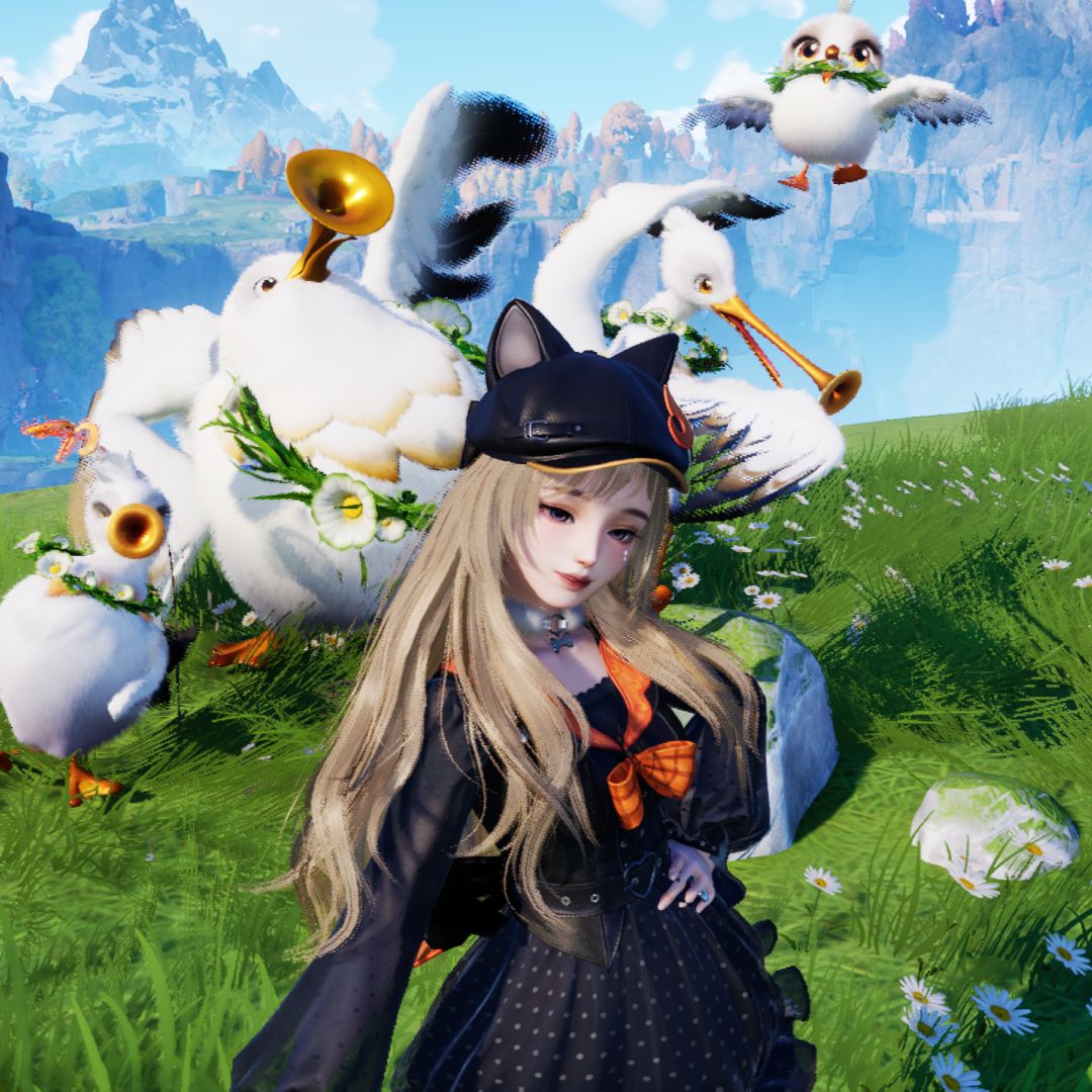 鷗樂隊 artwork