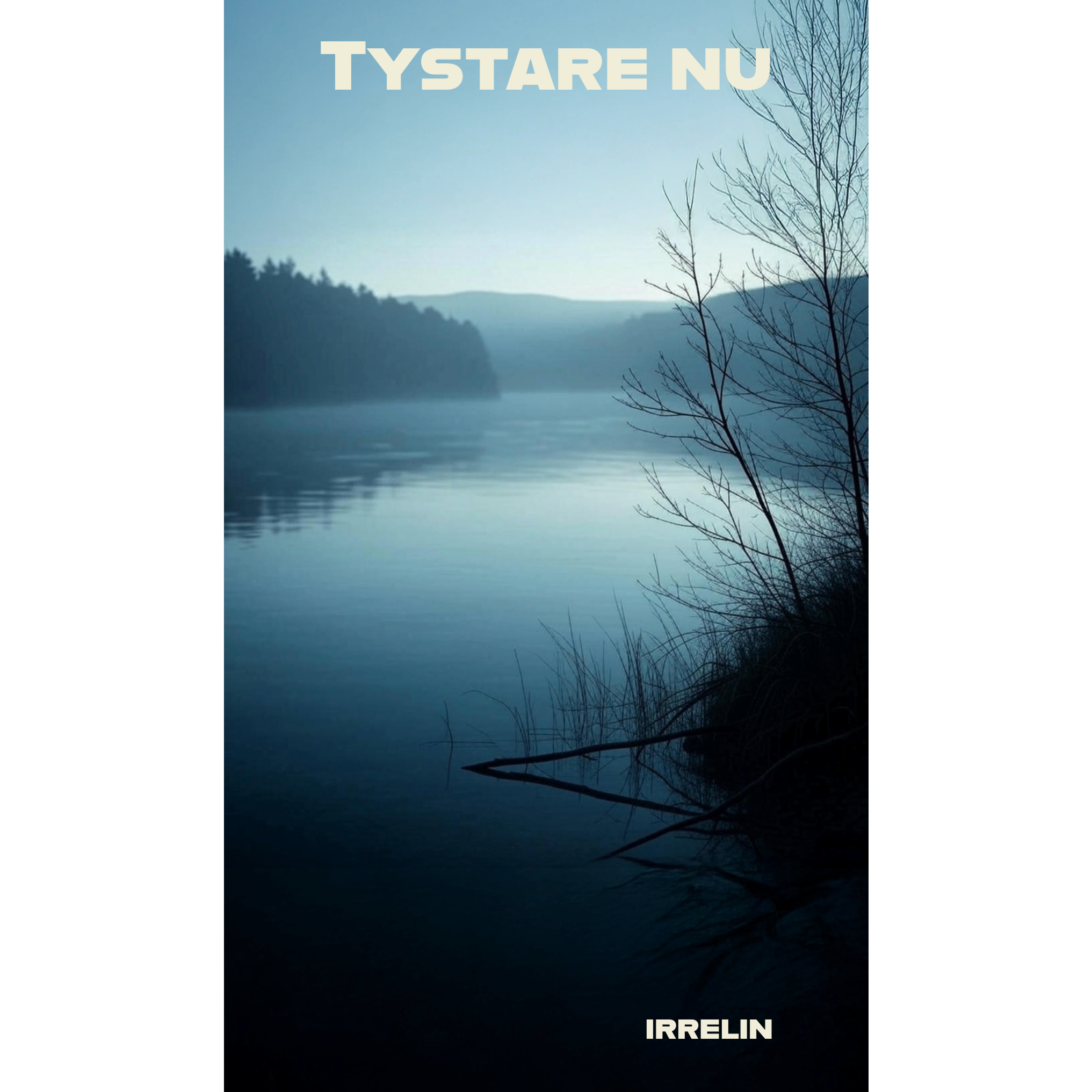 Image for Tystare nu