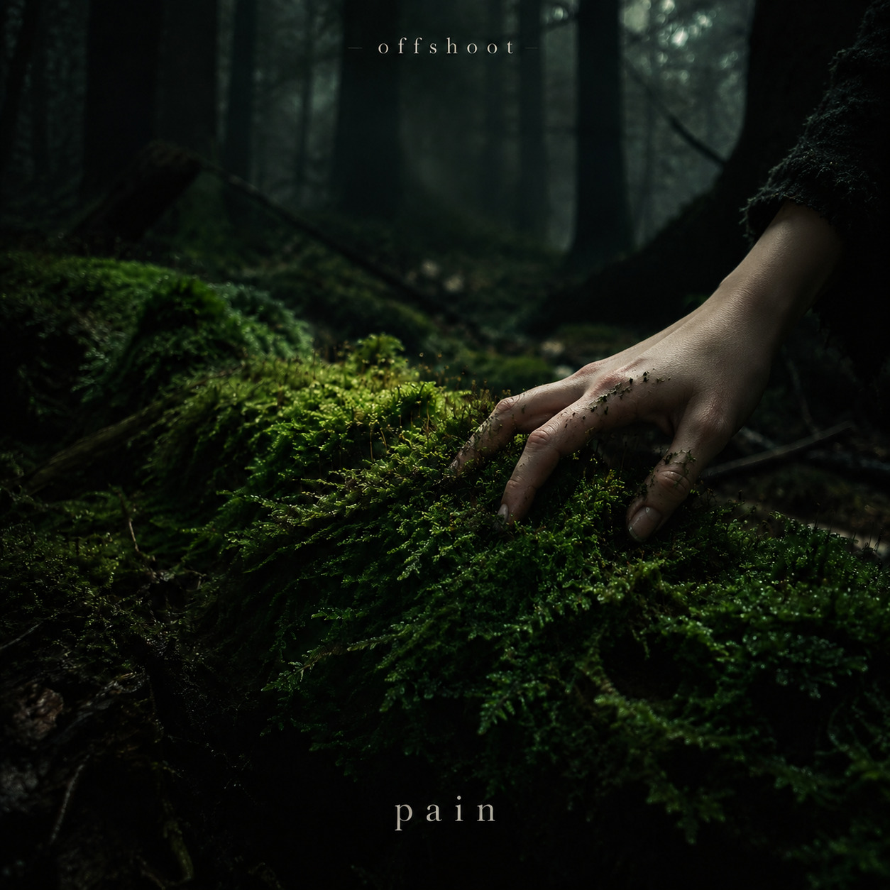 Song Cover Image