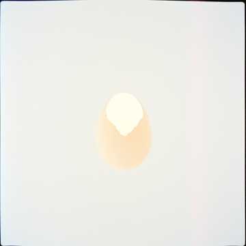 Image for Breath of Love