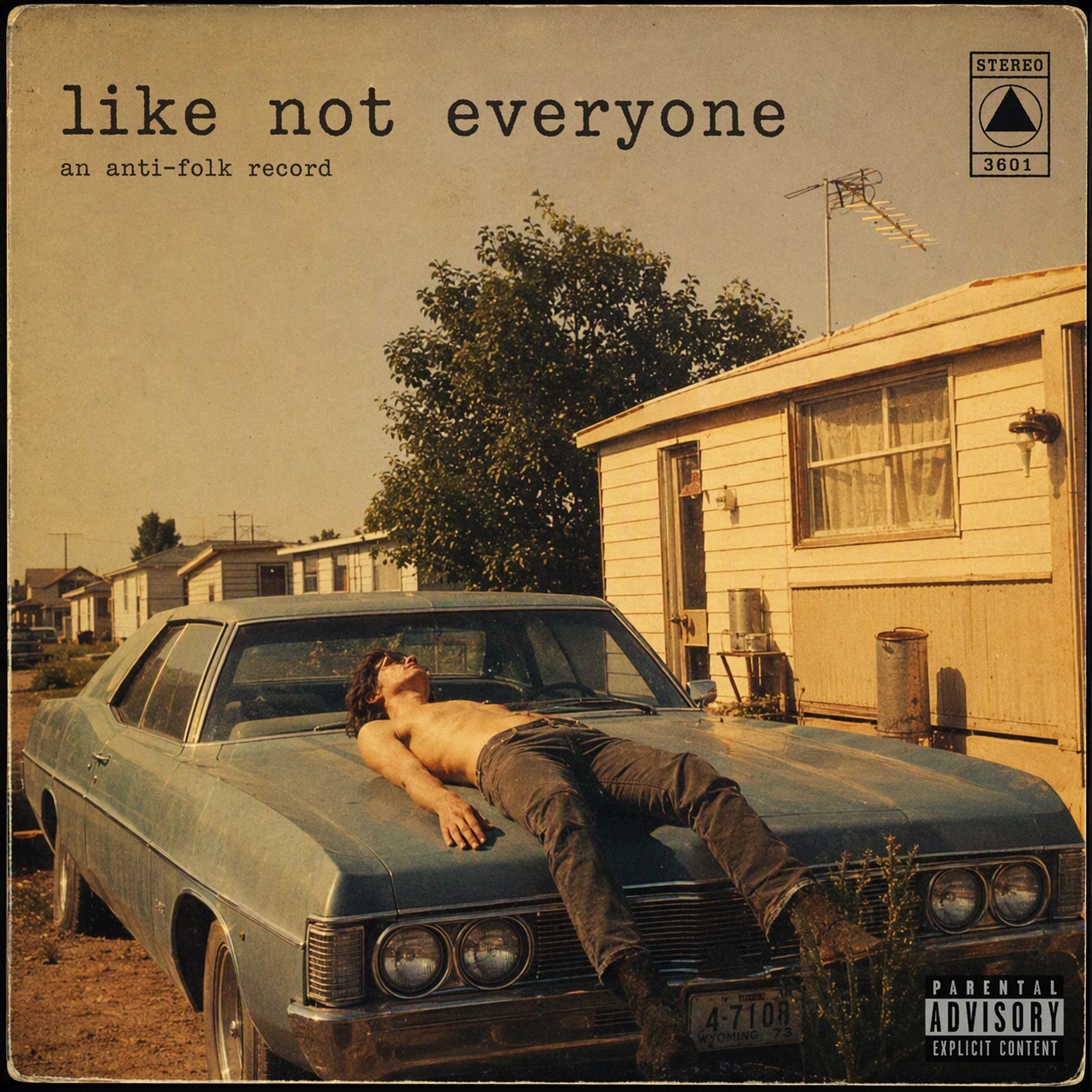 Like Not Everyone artwork