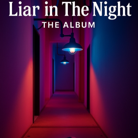 Image for Liar in The Night