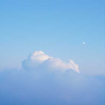 Image for Sakurai Mizuki - Discography