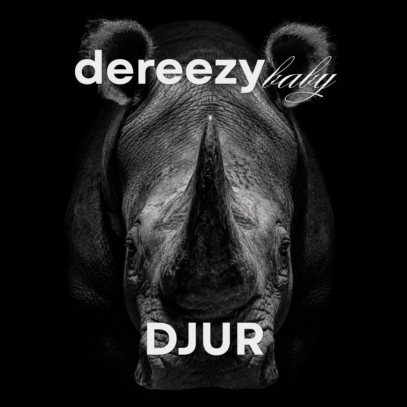 DJUR artwork