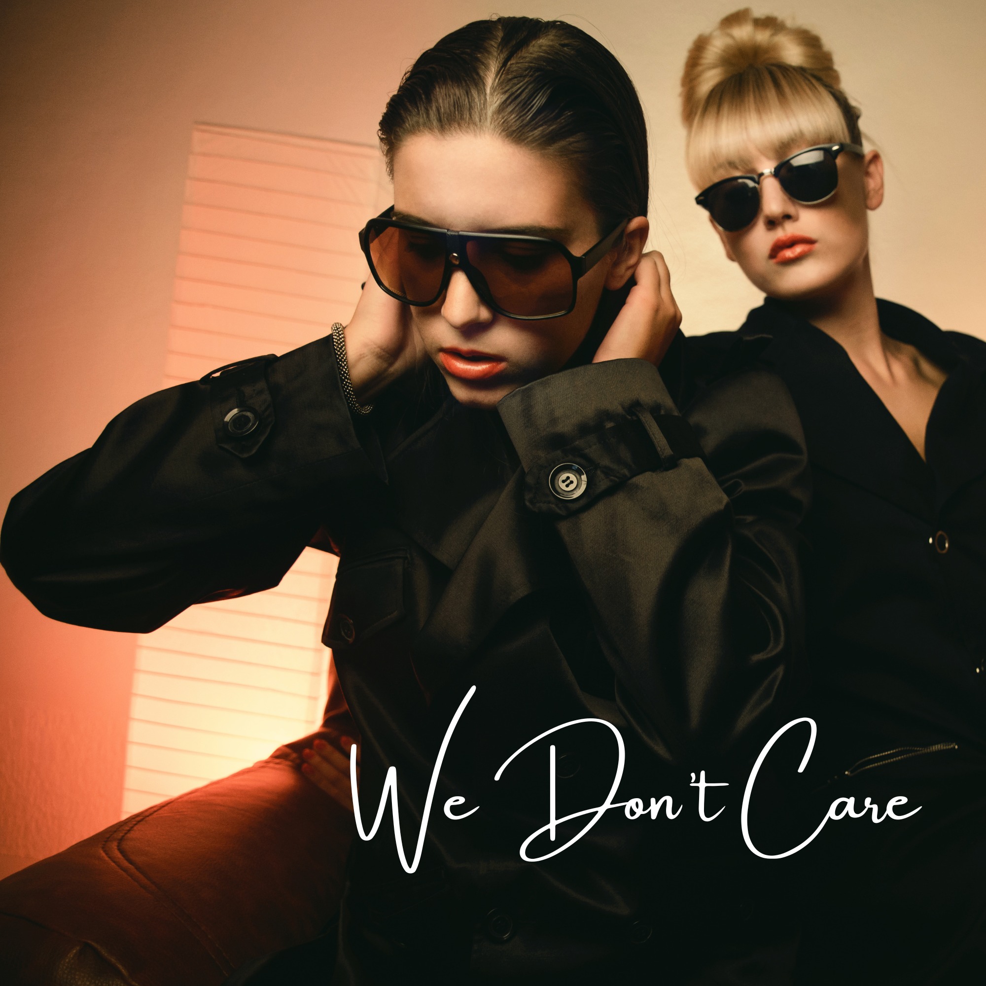 We Don't Care artwork