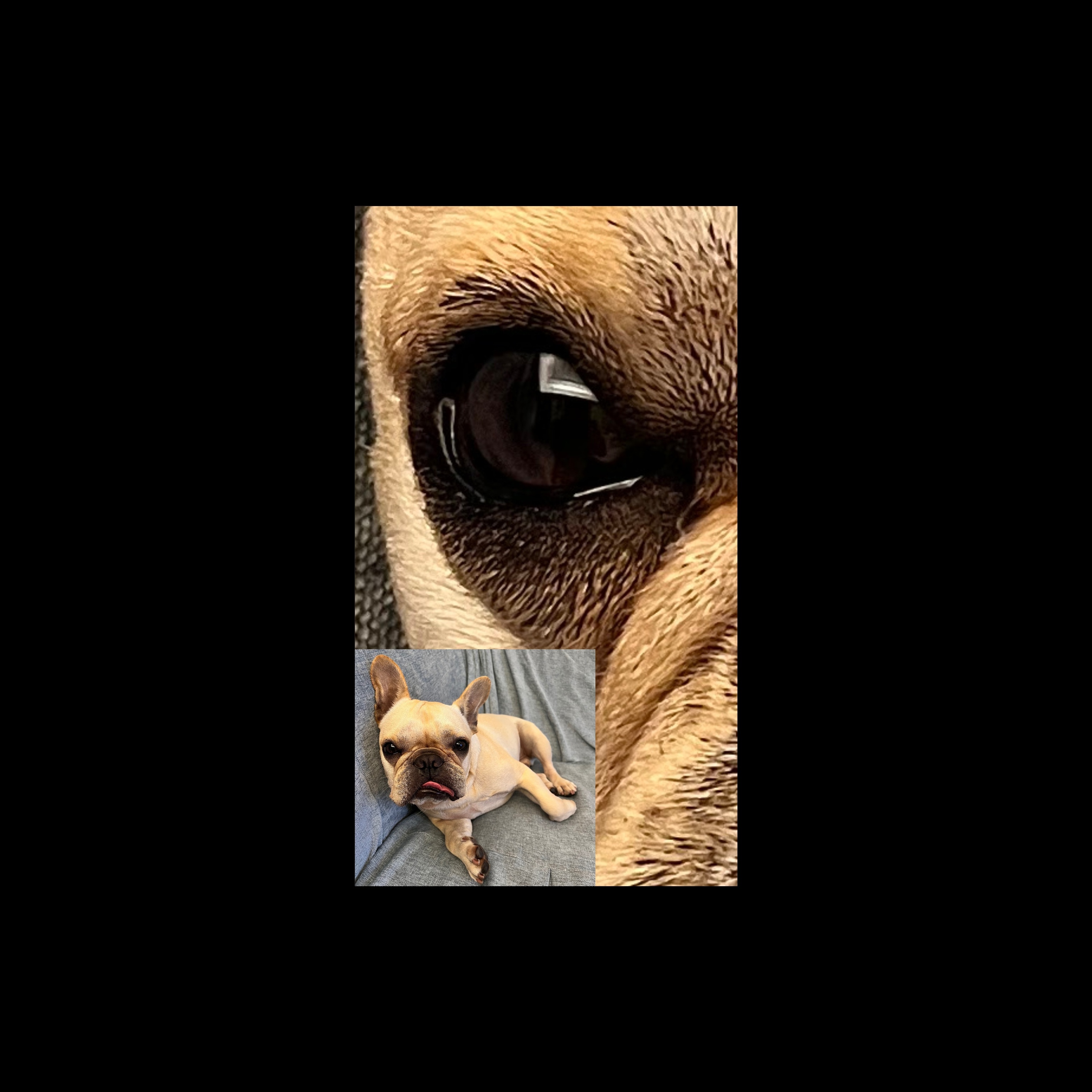 Image for 缺角❤️Moet（曾經）