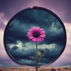 Image for Beauty In Pain