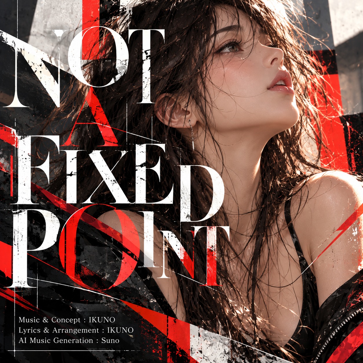 NOT A FIXED POINT artwork
