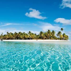 Image for Tropical House