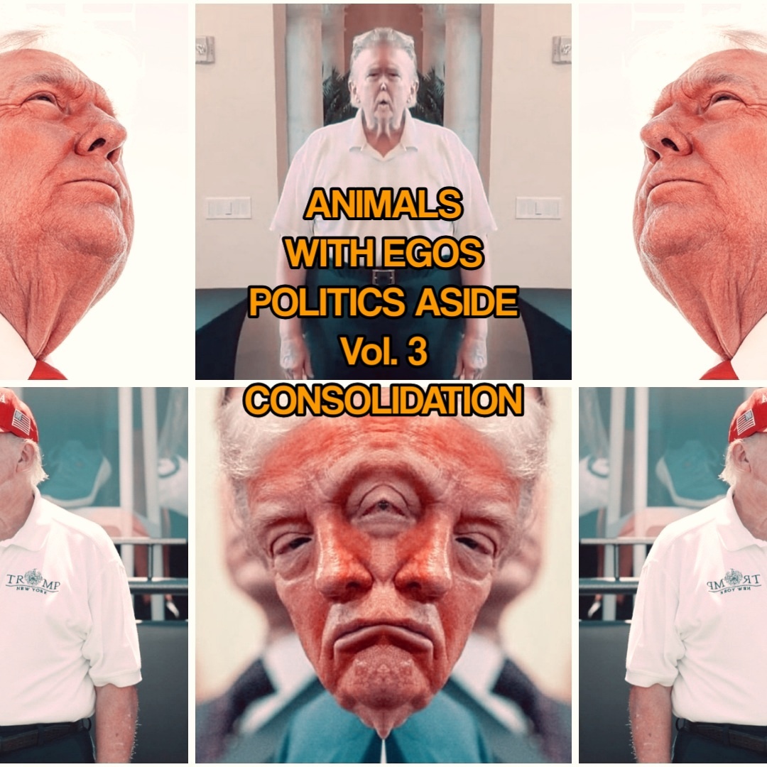 Image for Politics Aside Vol. 3: Consolidation