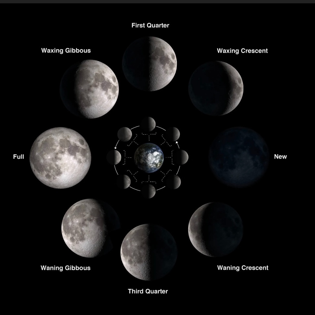 Image for Favourite Songs