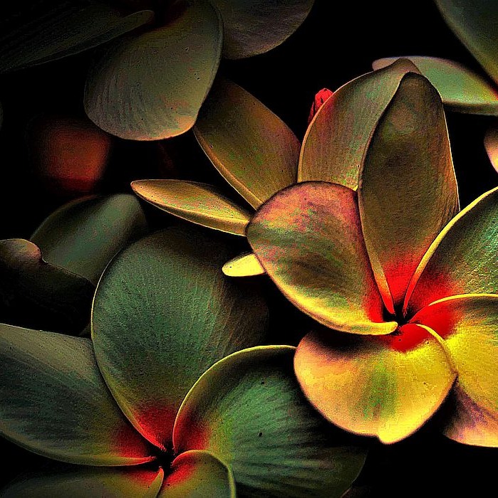 Blossoming artwork