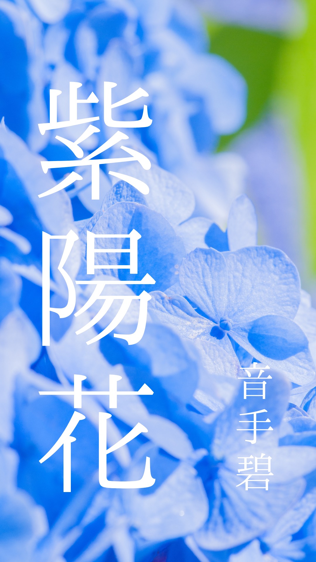 紫陽花 ft.音手奈々