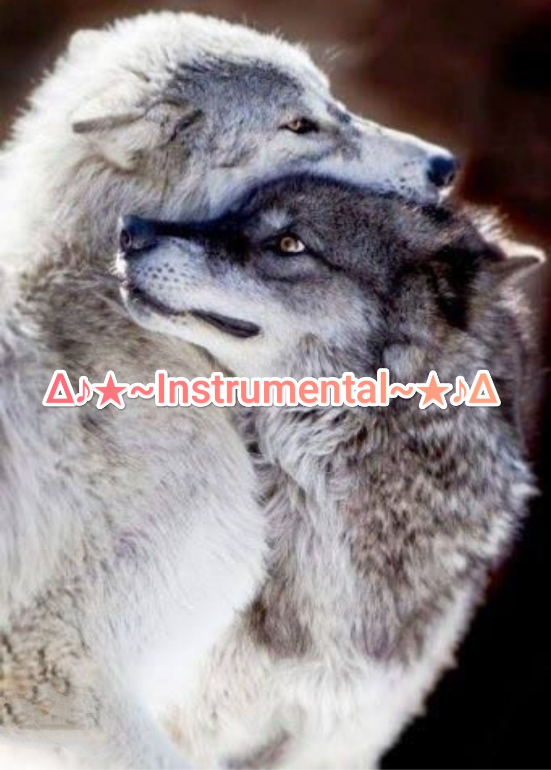Image for Instrumental songs