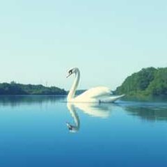 Image for Синтез душі - мелодія майбутнього