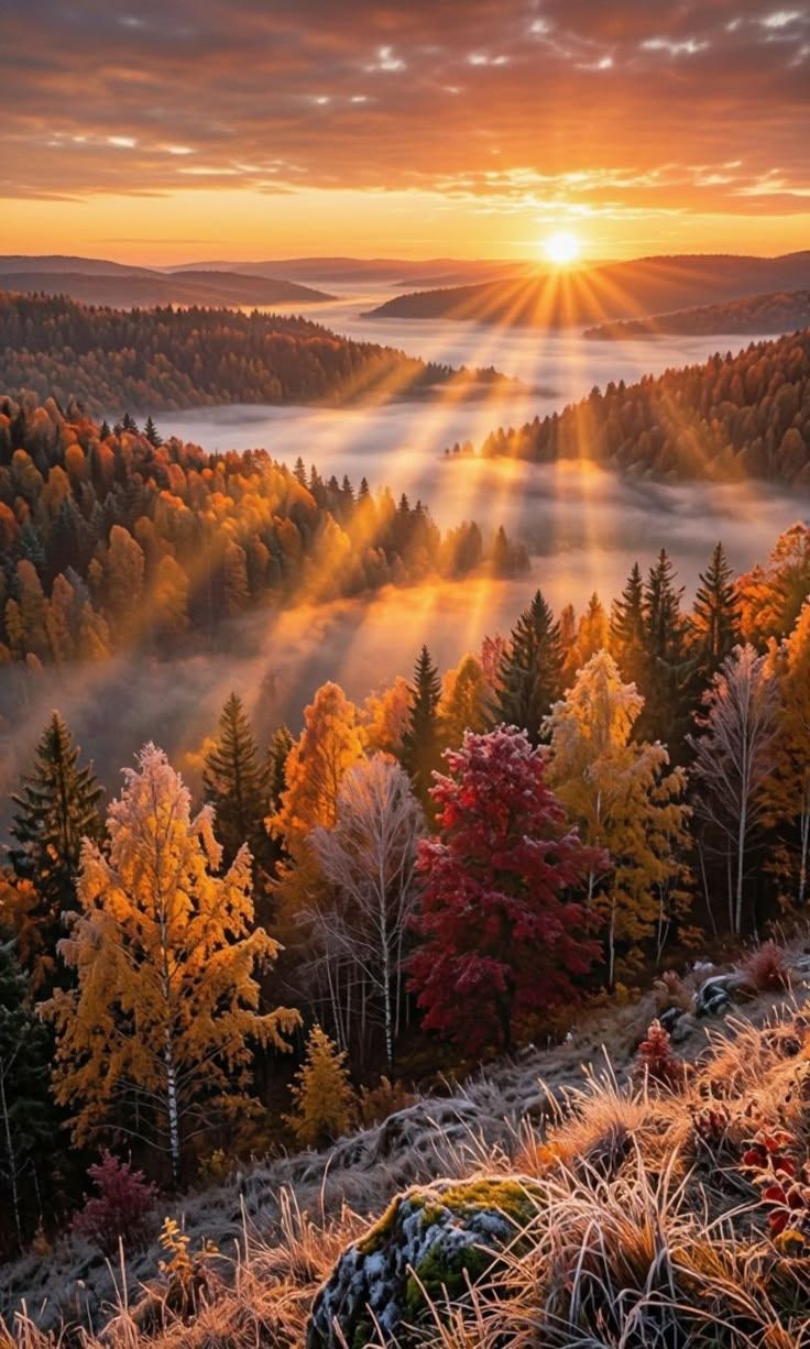 Эта осень слегка горьковата artwork