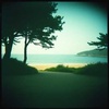 Love On The Island