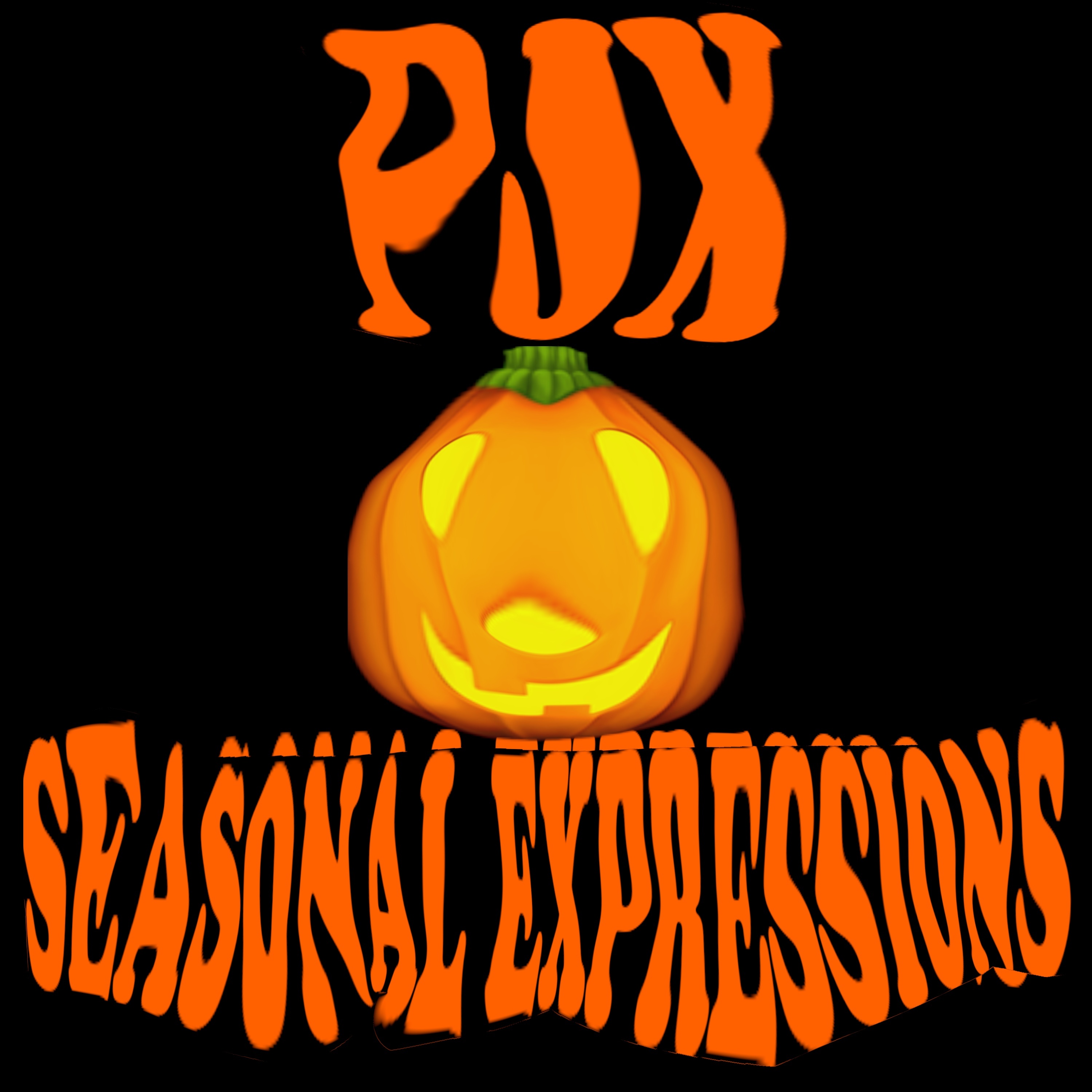 Image for Seasonal Expressions 