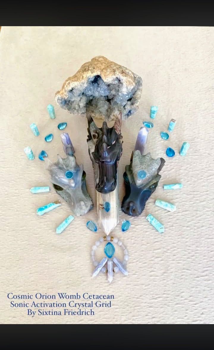 Mintaka Cetacean Womb artwork
