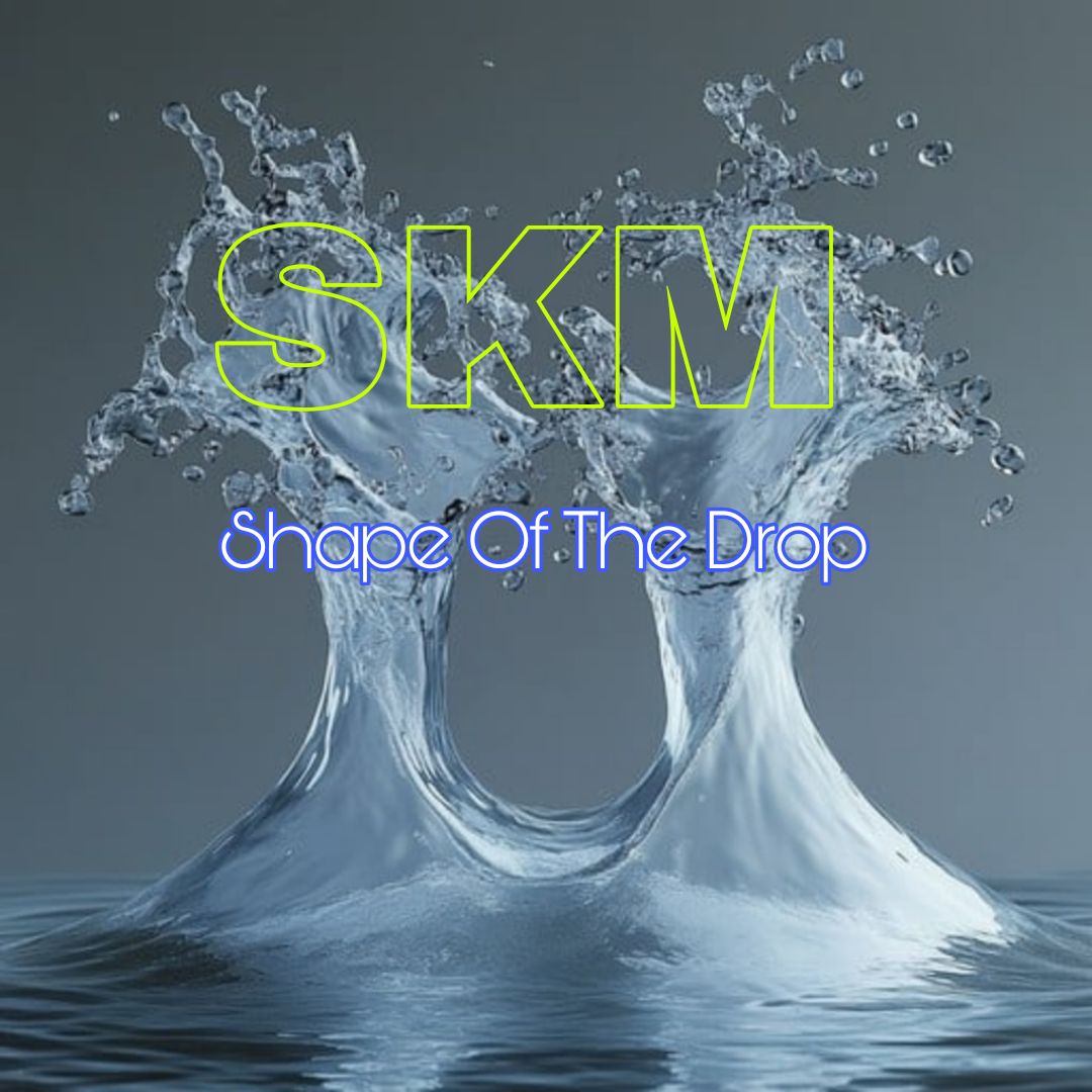 Shape of the Drop SKM (Progressive Trance Mix) artwork