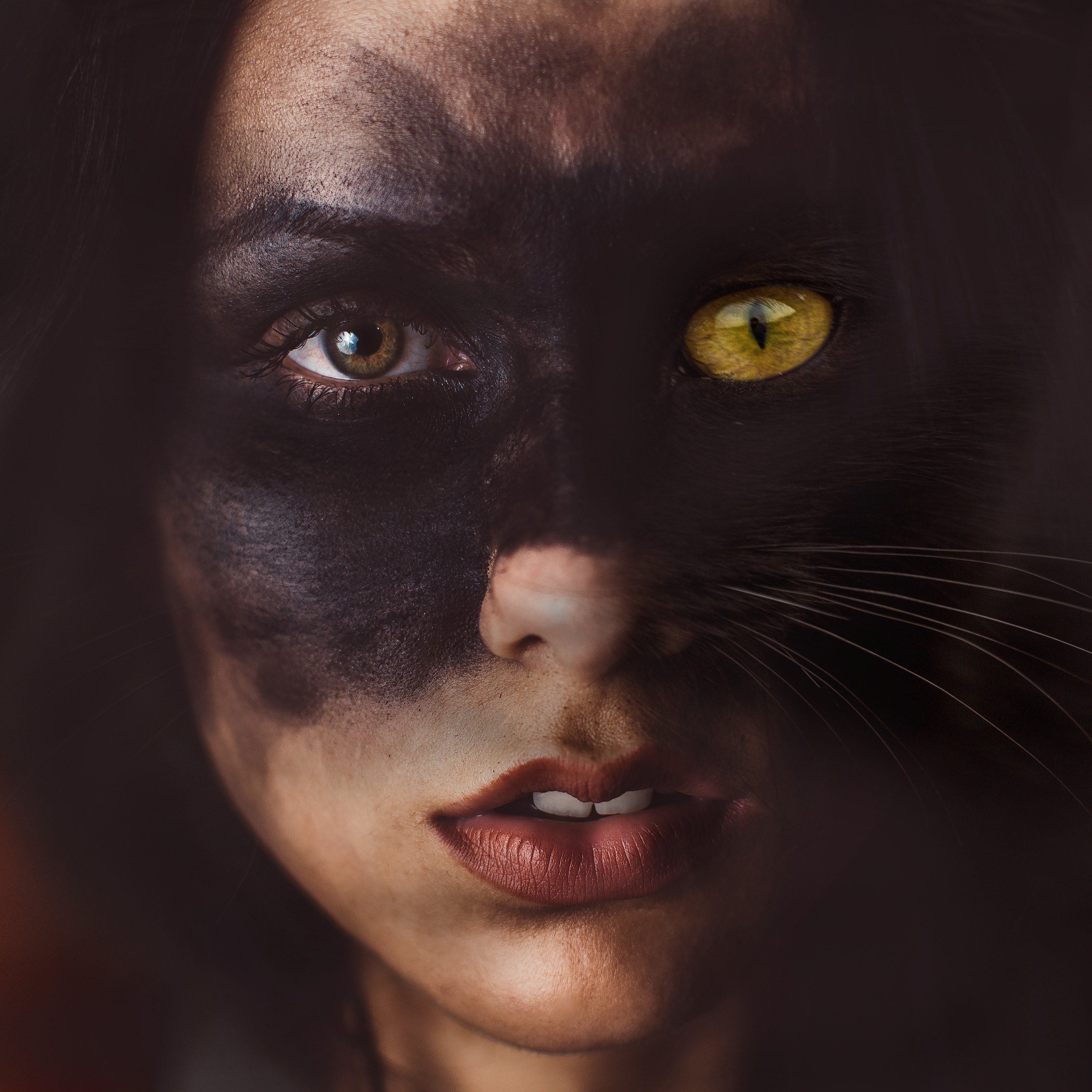 Bastet artwork