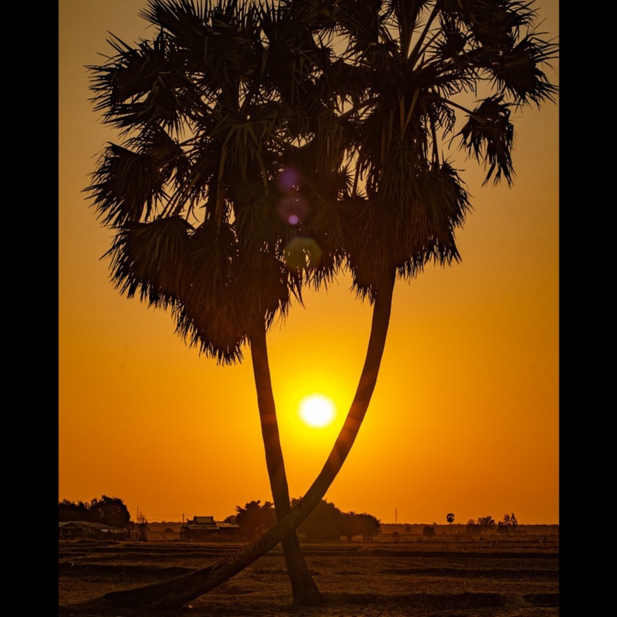 Song Cover Image