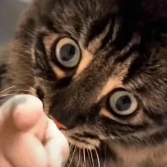 Image for 失戀日記威力加強版