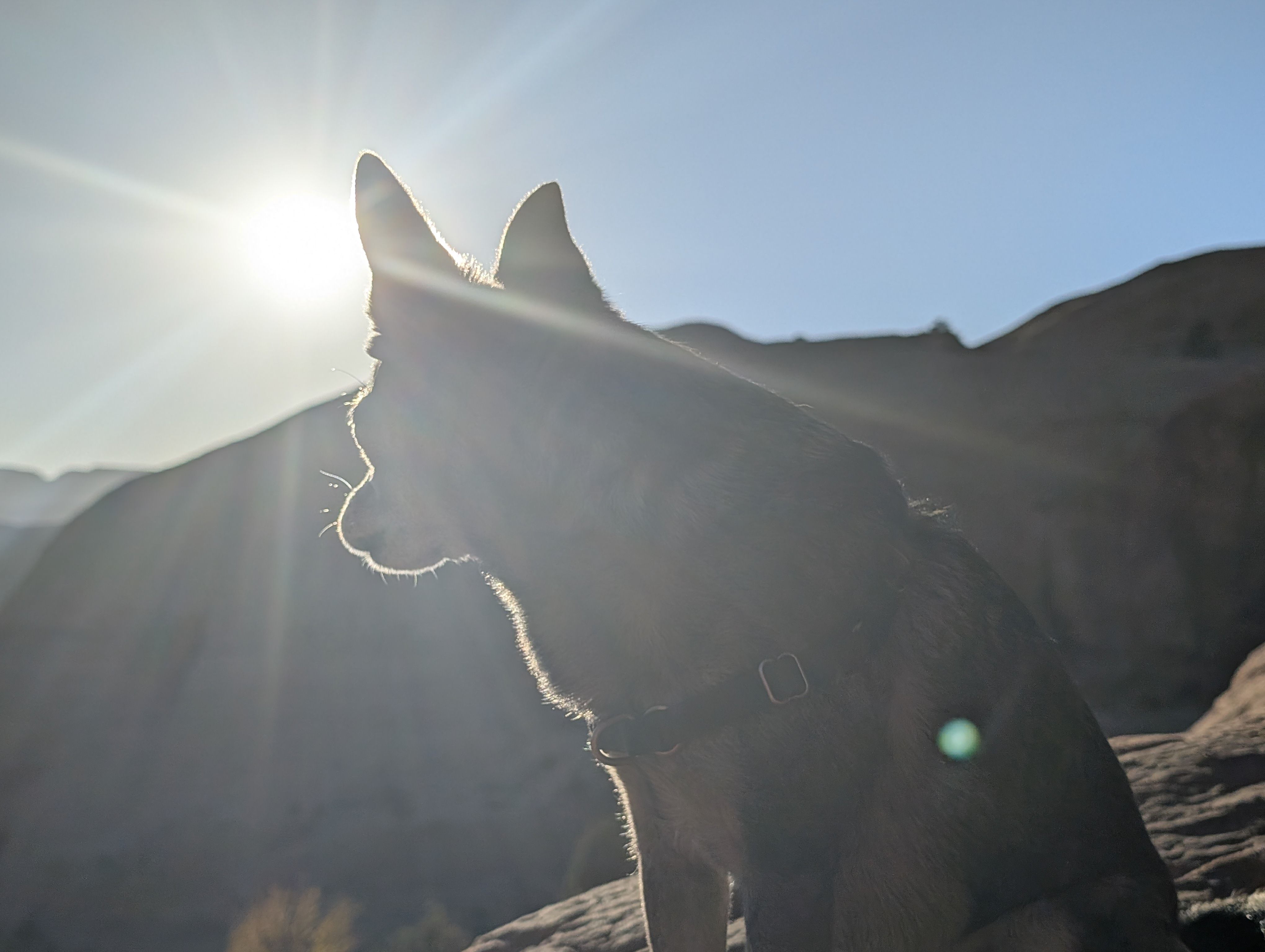 Image for Funny Songs