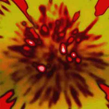 Image for Trance