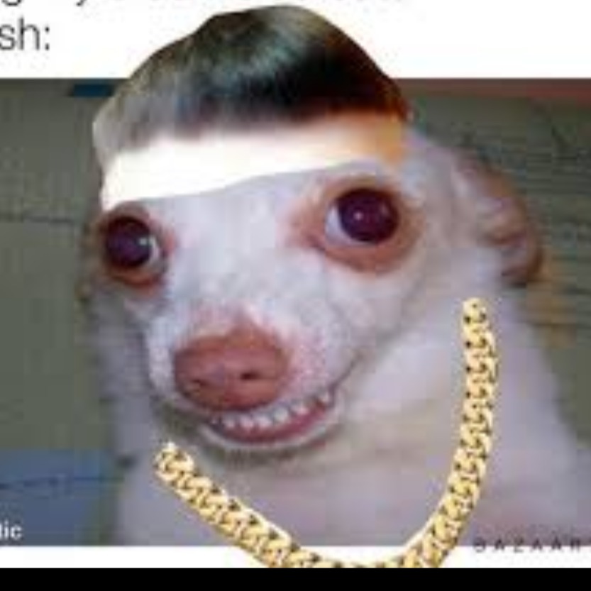 User avatar