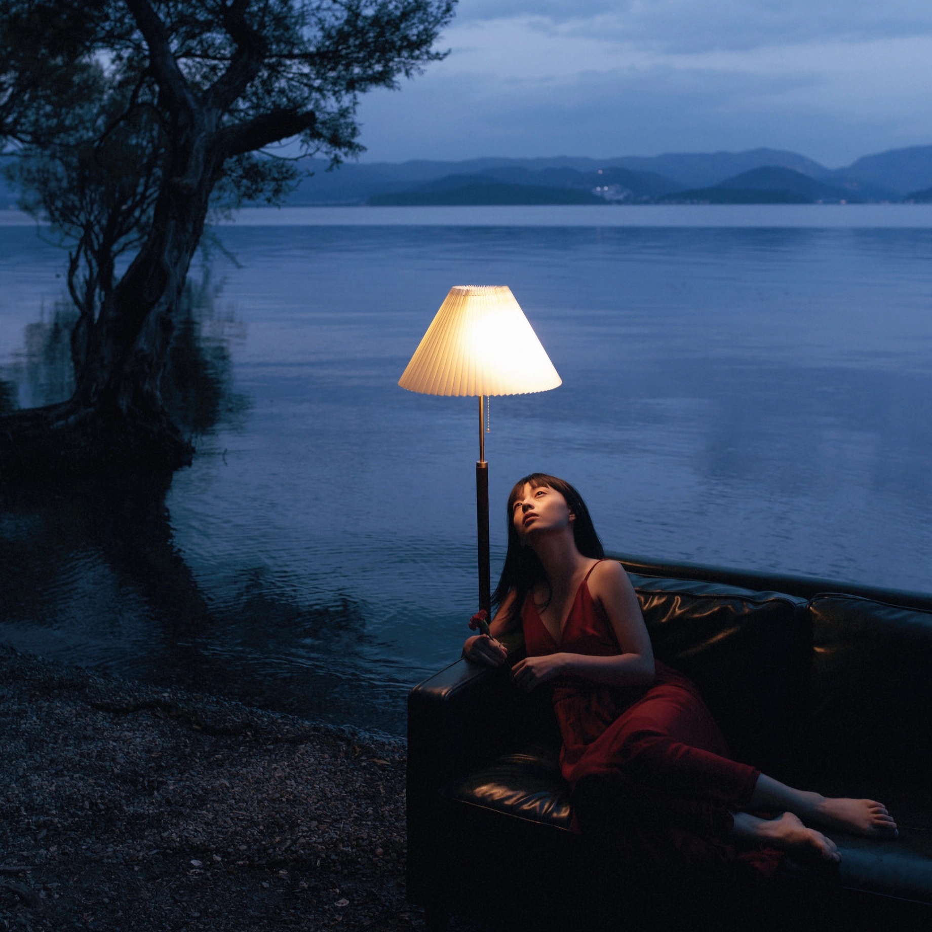 Image for Việt Nam Việt Nam