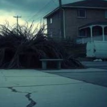 Image for Rooted Rebellion