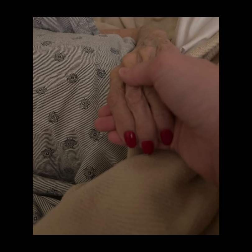 The Blood We Share artwork